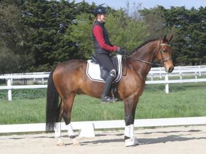 Boutique Keep Dancin’