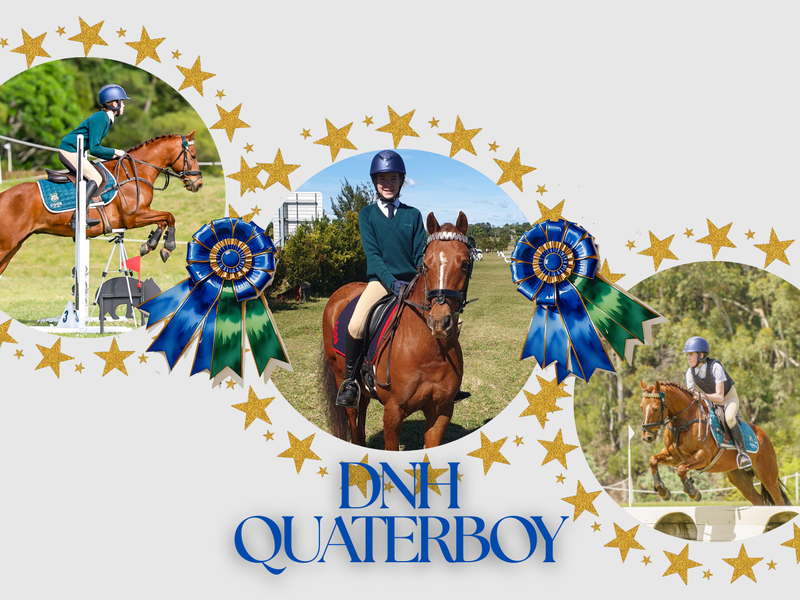 DNH Quaterboy - GRP WB x - superstar allrounder