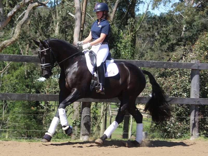 Revelwood Small World