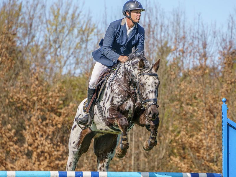 Fantastic Temperament