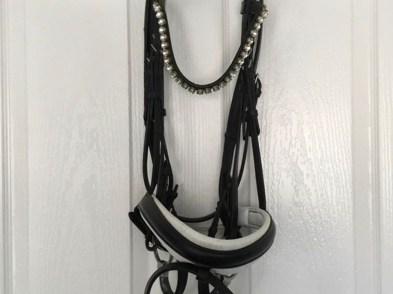Dressage competition snaffle full size