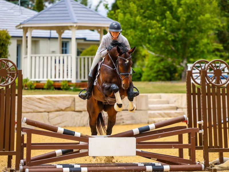 Promising Potential 🌟 SJ or Event