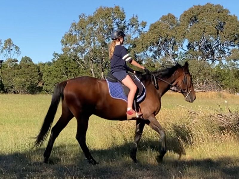 Mickey - the sweetest boy 