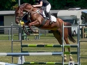 Acacia Ridge Roxanne