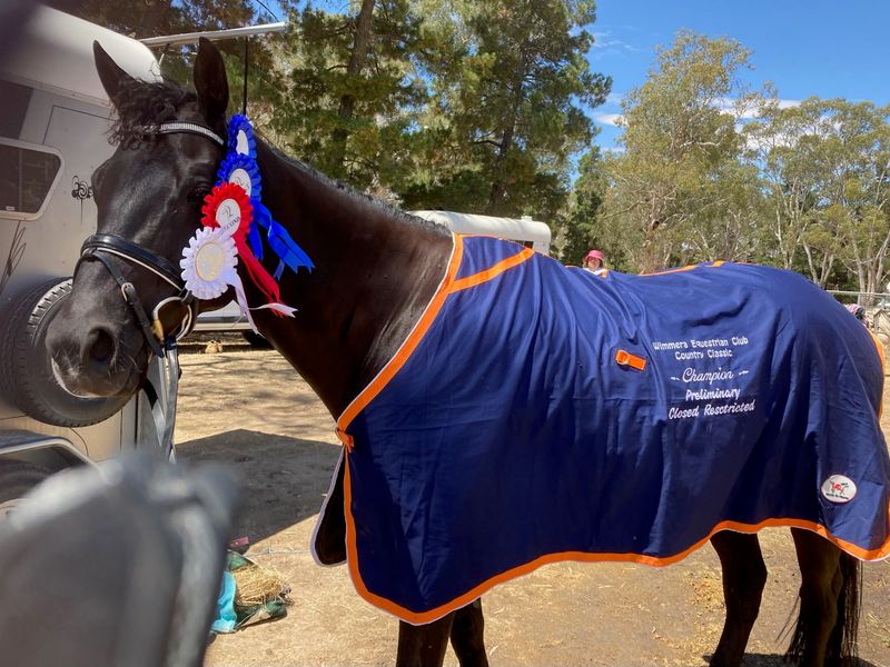 Educated gentleman! Tobiana x 