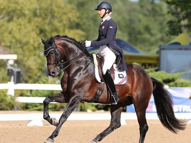 The Charismatic PSG Gentleman with Grand Prix Flai