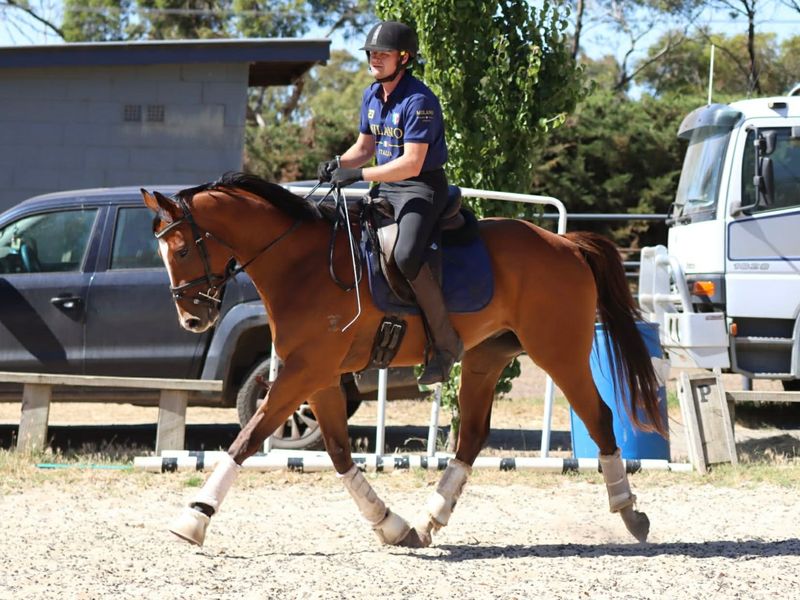 Cute, Quiet and Flash!!!