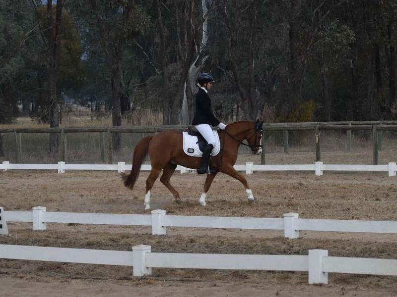 VANCOUVER PARK SUPER NOVA