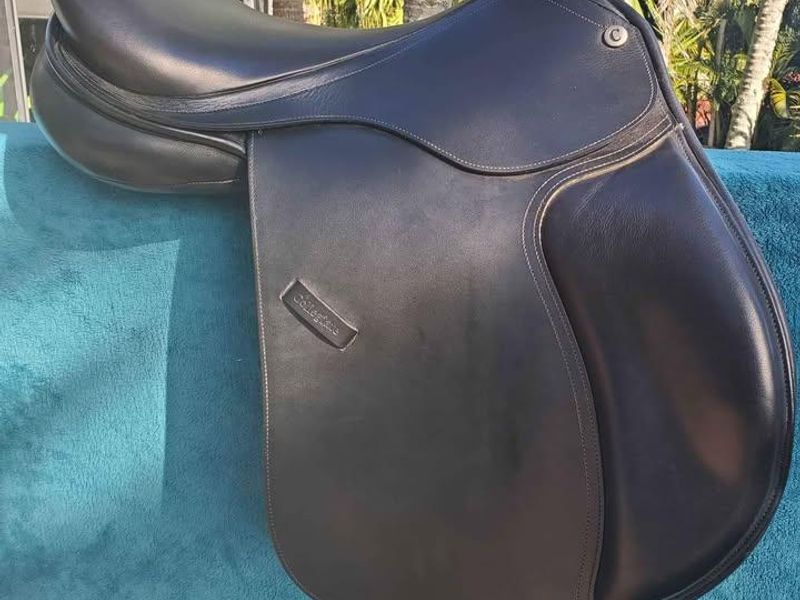 17" Collegiate Scholar AP Saddle