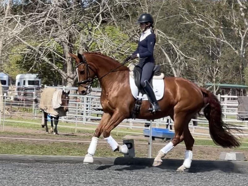 Karizmah Life of Riley