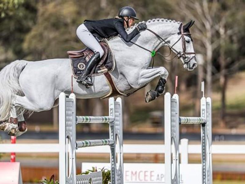 Casebrooke Lomond - International SJ