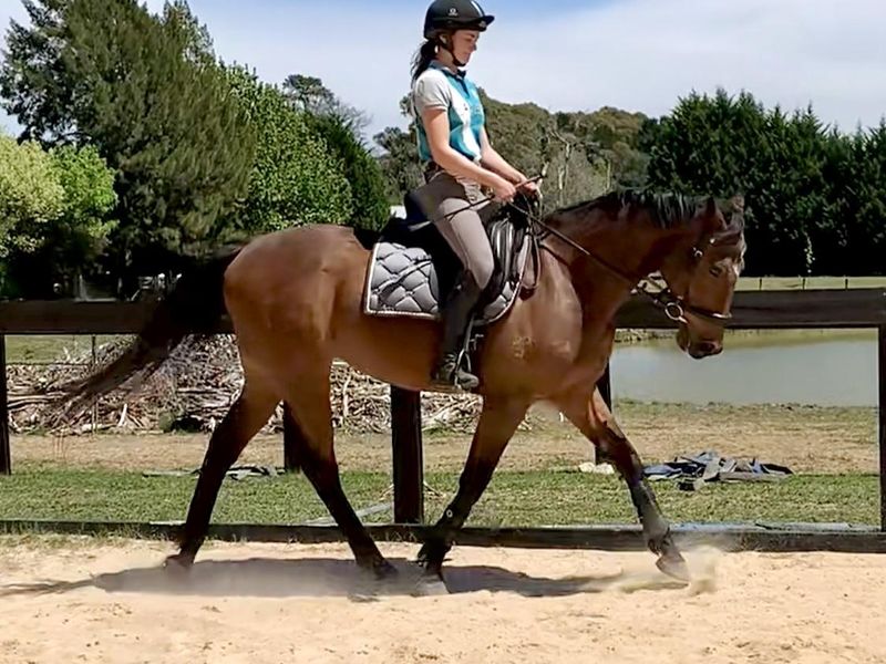 Compact TB allrounder