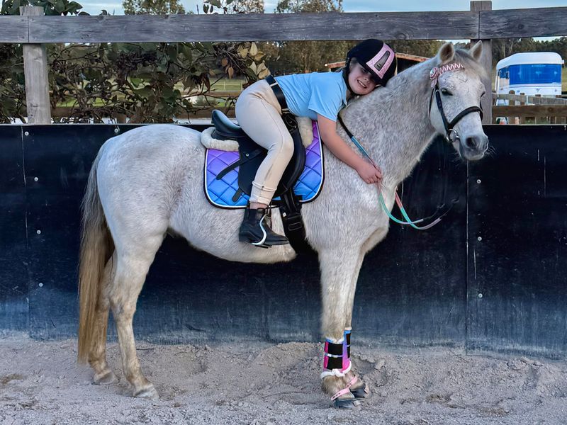 Welsh X RP Gelding – 2nd Pony / Lead-Line