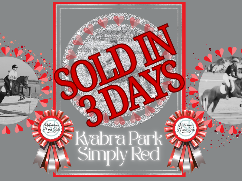 Kyabra Park Simply Red - dressage, show, eventer