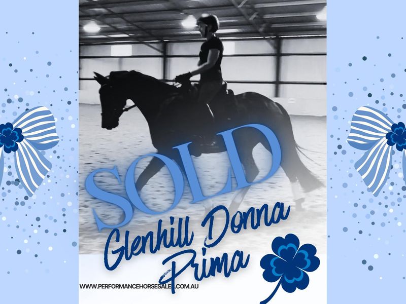 Glenhill Donna Prima by Bluefields Dankeschoen