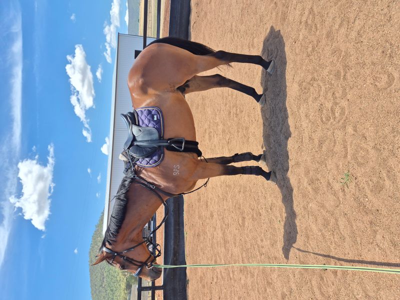 Sweet Tb with jumping potential 