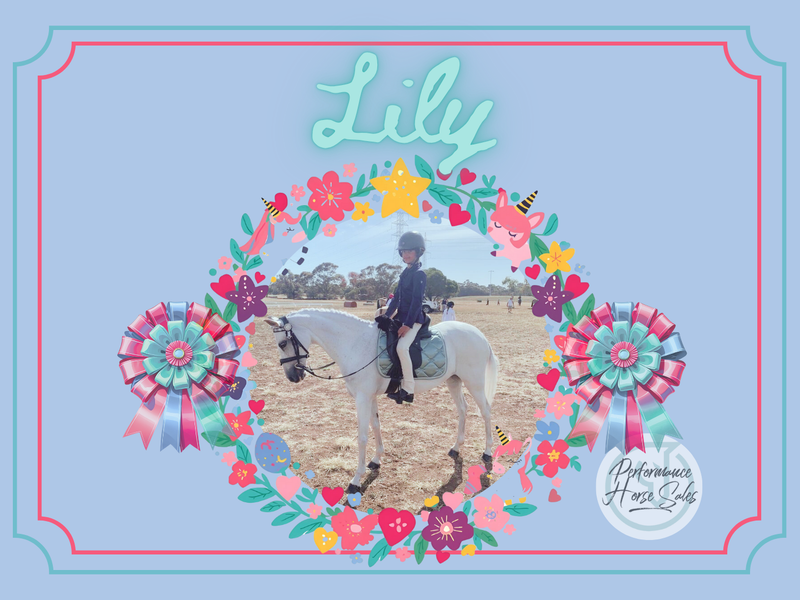 Lily - 2nd/ 3rd pony eventer, SJ, interschools