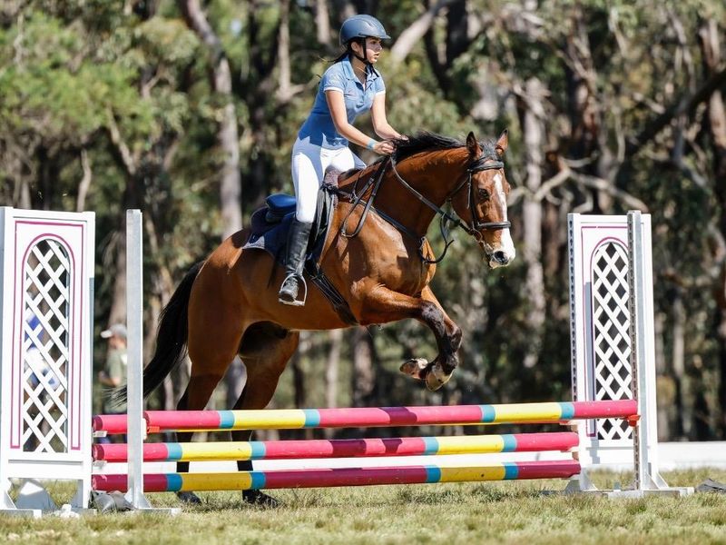 Talented Jumper/allrounder