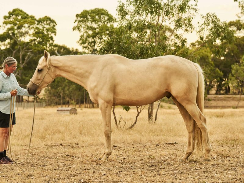 Game Changing opportunity 