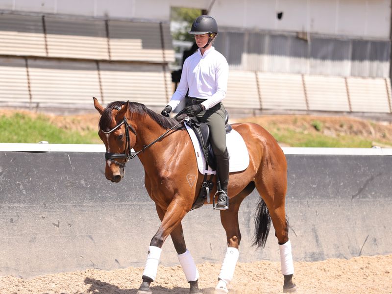 Impeccable Temperament