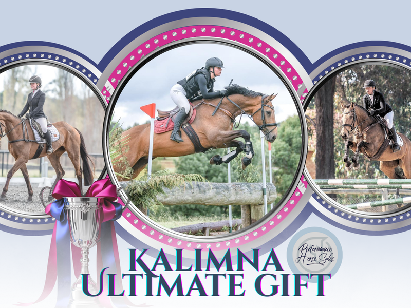 Kalimna Ultimate Gift - 115 SJ, 1* eventer