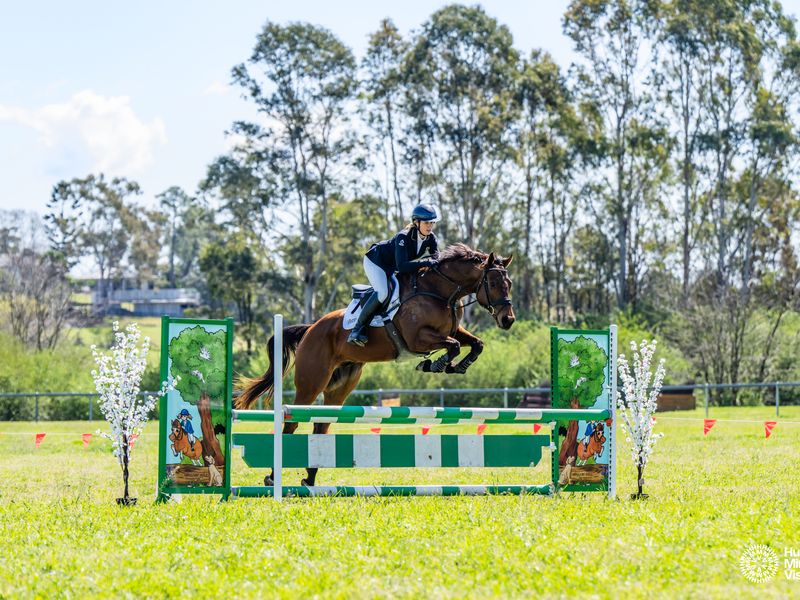 Re-educated OTT suitable for any disapline