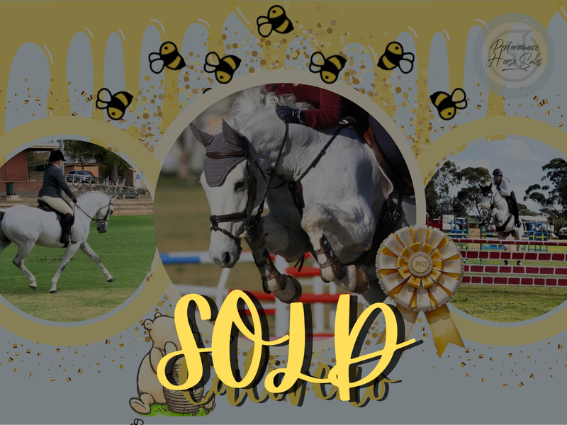 Calivero - super schoolmaster 120 WB