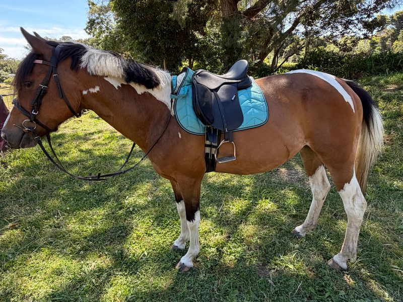 Very pretty summer project 