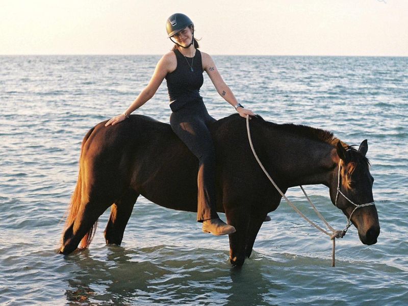 From Arena to Outback – Ready for Anything