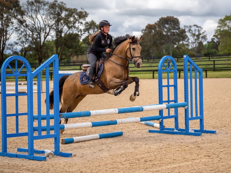 Golden pony - Bain Park El Dorado