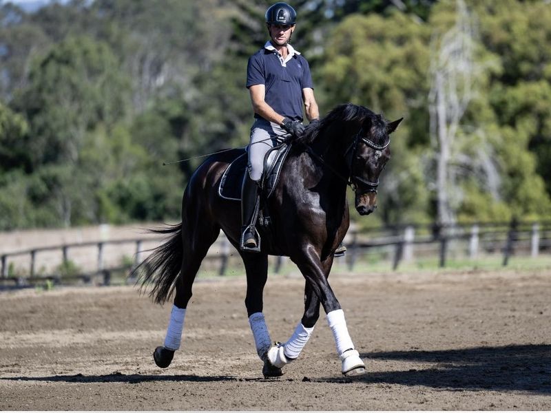 Talented and Trainable