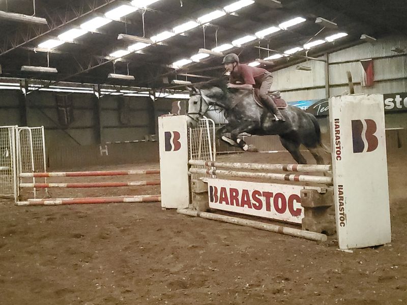 "Cody"  16.1hh 6yo  Leopoldo MVNZ - Chacco Blue