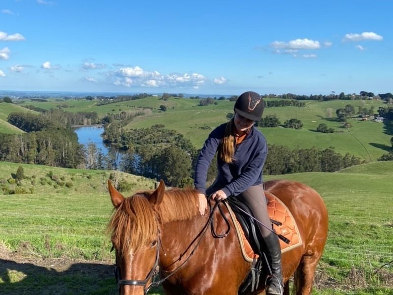 Pony Club Schoolmaster 