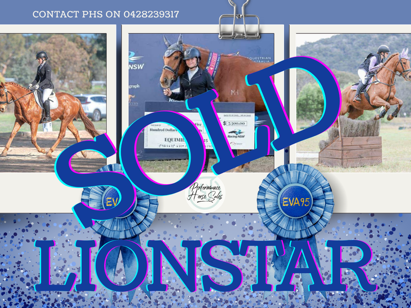 SOLD - Lionstar