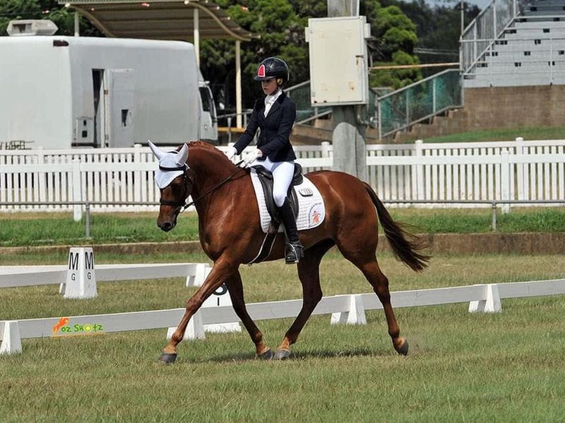 Competitive and talented