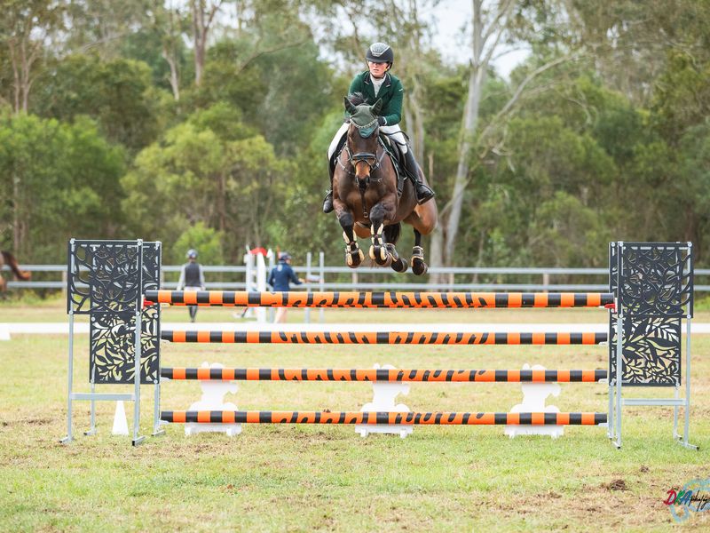 Competitive Schoolmaster "Smooth Flight" 