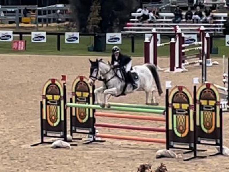 Genuine Schoolmaster