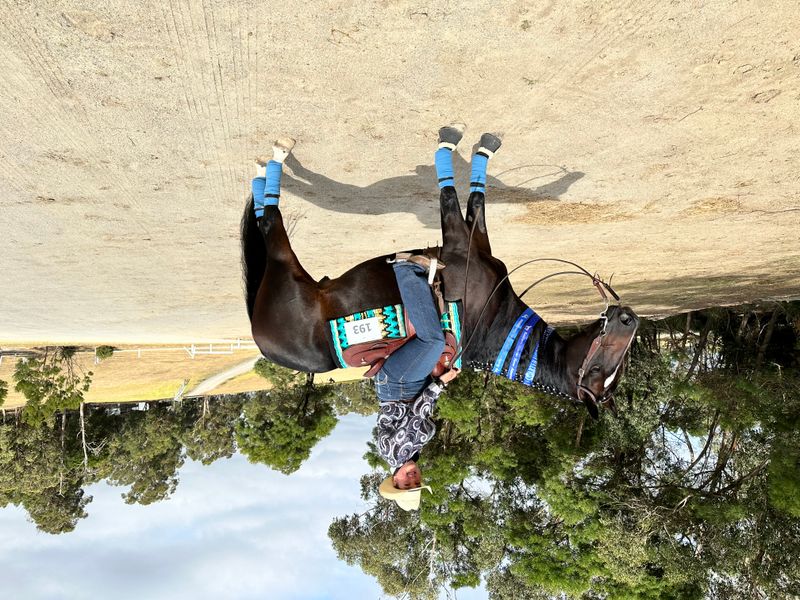 Hollywood smoke n neon