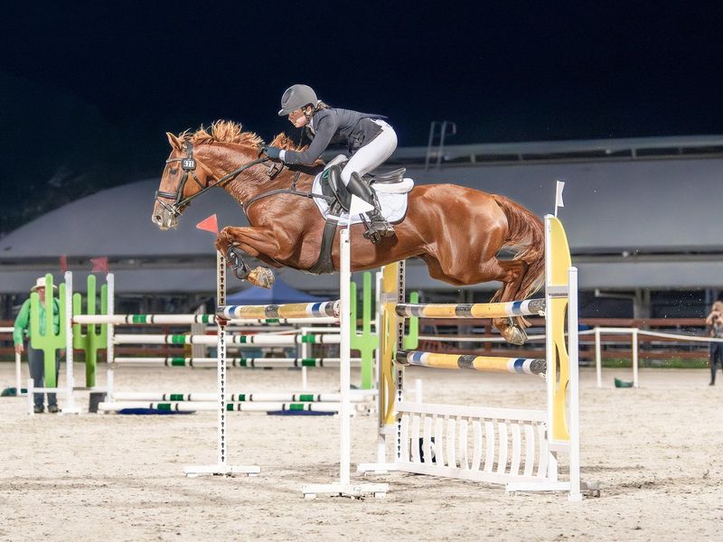 4* Schoolmaster - Sandhills Bliss