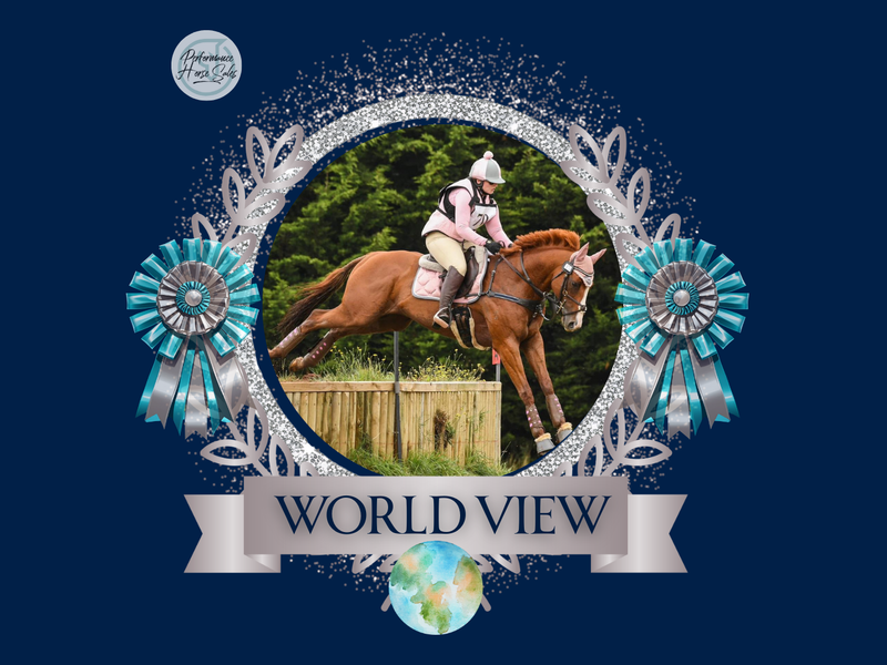 World View - talented EVA95 eventer/SJ/ dressage