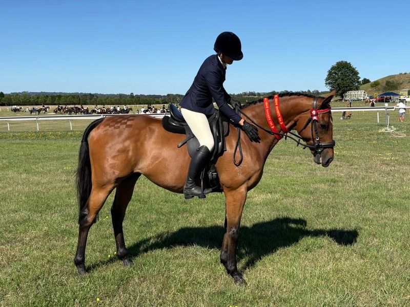 Compact TB allrounder