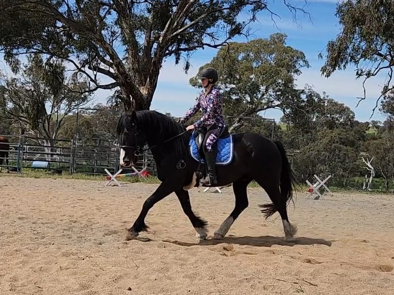 Tall Dark and Talented!