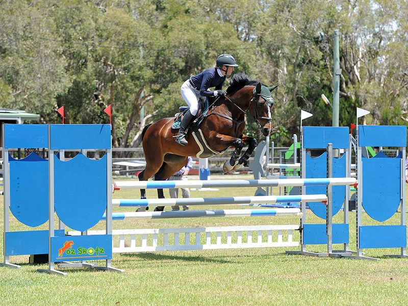 Child’s dream showjumper