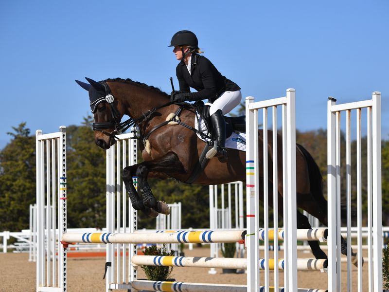 Nitro - Fashy, Handsome and Talented 