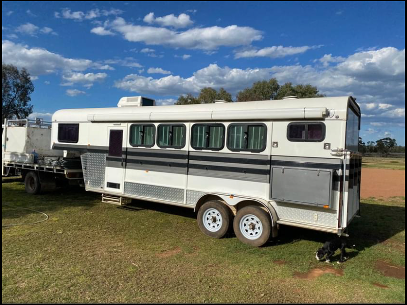 2003 Isuzu NPR400 + 2019 Ironhorse 4-Horse Goosene