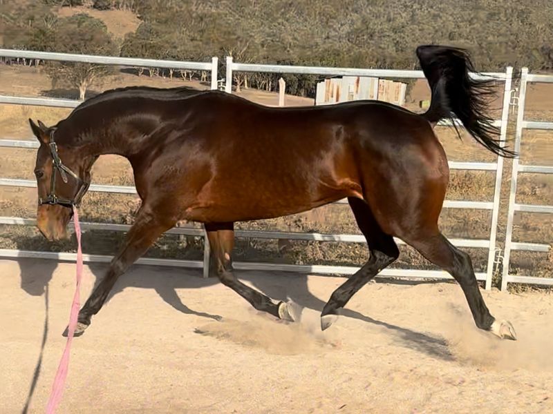 Super cool allrounder! 