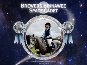 Brewers Binnawee Space Cadet