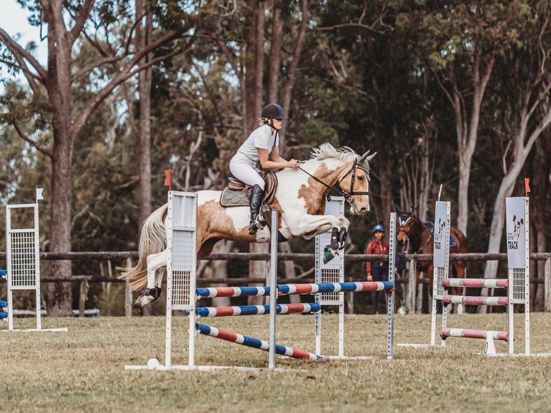 🌟Interschool Competition Ready 🌟