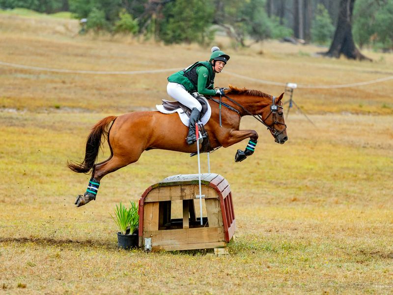 Talented, Genuine Allrounder