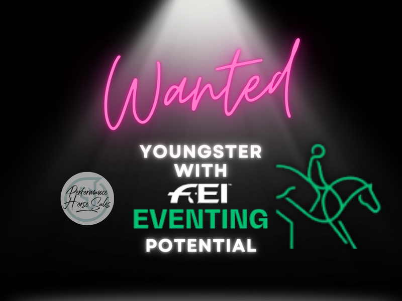 Wanted - 4-8 yo eventer with FEI potential